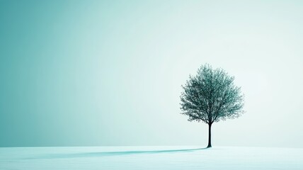 Solitary tree stands in snowy, serene landscape under clear sky