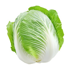 cabbage PNG cutout isolated on transparent and white background.

