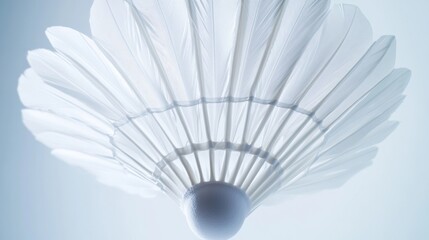 Obraz premium A badminton shuttlecock feathers with focus on the arrangement and symmetry, indoor setting with fluorescent lighting, Contemporary style