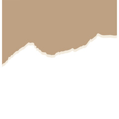 torn paper vector illustration