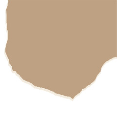 torn paper vector illustration