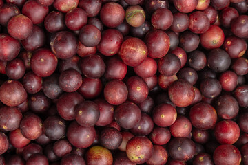 CAMU CAMU, AMAZONIAN FRUIT THAT GROWS ON THE BANKS OF RIVERS, DELICIOUS RED FRUIT KNOWN AS CAMU...