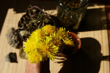 Dandelion honey jam, fresh and dried flowers in a beautiful aesthetic composition on the table.