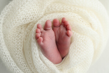 The tiny foot of a newborn. Soft feet of a newborn in a white woolen blanket. Close up of toes, heels and feet of a newborn baby. Studio Macro photography. Woman's happiness.