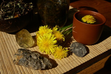 Dandelion honey jam, fresh and dried flowers in a beautiful aesthetic composition on the table.
