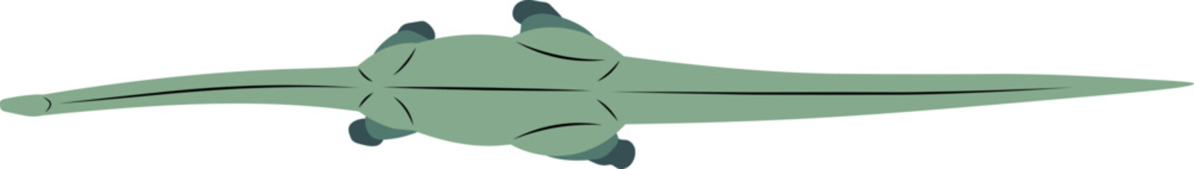 illustration of a long neck dinosaur.