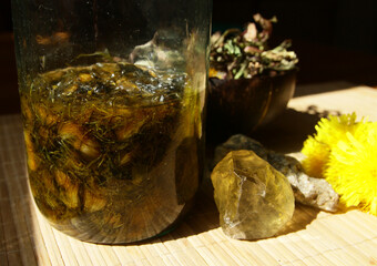 Dandelion honey jam, fresh and dried flowers in a beautiful aesthetic composition on the table.
