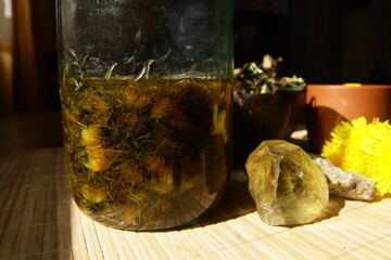Dandelion honey jam, fresh and dried flowers in a beautiful aesthetic composition on the table.