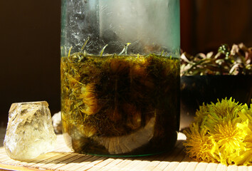 Dandelion honey jam, fresh and dried flowers in a beautiful aesthetic composition on the table.