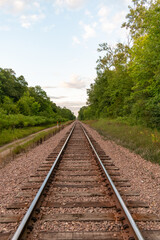 Fototapeta premium A beautiful view of train tracks off to the horizon surrounded by greenery.