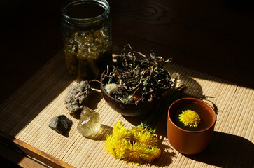 Dandelion honey jam, fresh and dried flowers in a beautiful aesthetic composition on the table.