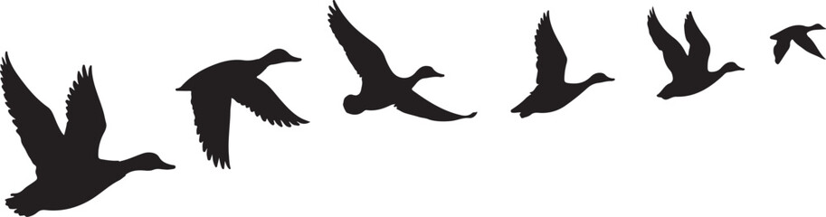 silhouette of flock of flying duck vector art illustration © Mohaiminul