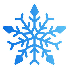 snowflake Gradient icon