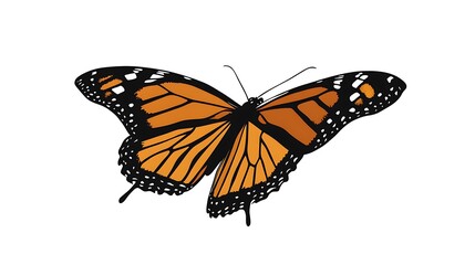 Obraz premium Detailed Monarch Butterfly Vector Art in Bright Orange