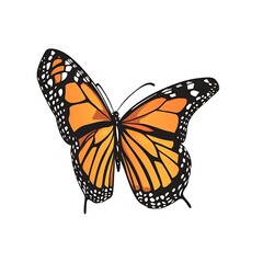 Obraz premium Digital Vector Art of Monarch Butterfly with Detail