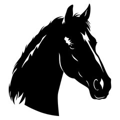 Horse head silhouette in drawing line design. Vector  illustration on a white background