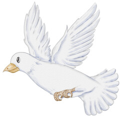 watercolor fly pigeon dove illustration