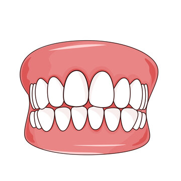 recommend clip art: Flat design illustration of healthy teeth and gums