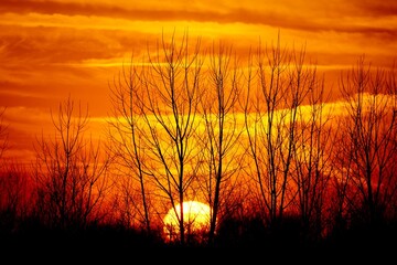 Obraz premium sunset over the field