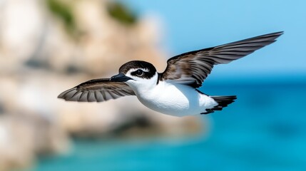 A bird flying over a body of water