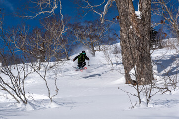 バックカントリースキー
