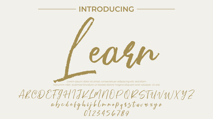Learn Font Stylish brush painted an uppercase vector letters, alphabet, typeface