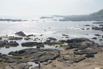 Obraz premium 城ヶ島公園 夏の風景