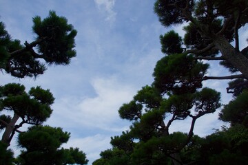 城ヶ島公園　夏の風景