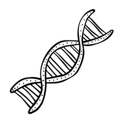 Hand Drawn DNA Helix Scientific Illustration of Genetic Structure in Black and White