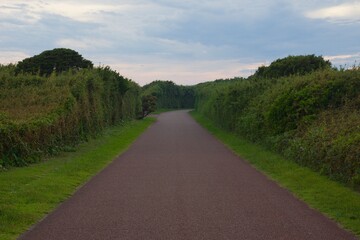 城ヶ島公園　夏の風景