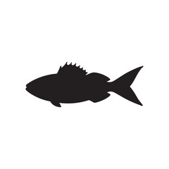 Cod fish silhouette vector illustration, Cod vector isolated on white background