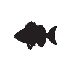 Cod fish silhouette vector illustration, Cod vector isolated on white background