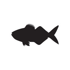Cod fish silhouette vector illustration, Cod vector isolated on white background