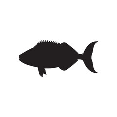 Cod fish silhouette vector illustration, Cod vector isolated on white background