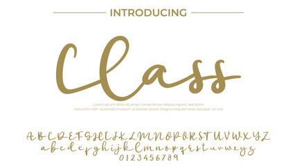 Class Font Stylish brush painted an uppercase vector letters, alphabet, typeface
