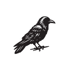 Obraz premium Crow or Raven vector silhouette. Raven silhouette logo, icon vector black and white.