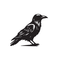 Fototapeta premium Crow or Raven vector silhouette. Raven silhouette logo, icon vector black and white.