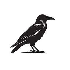 Fototapeta premium Crow or Raven vector silhouette. Raven silhouette logo, icon vector black and white.