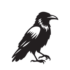 Obraz premium Crow or Raven vector silhouette. Raven silhouette logo, icon vector black and white.