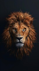 Naklejka premium Capture the majesty of a lions mane from a birds eye view