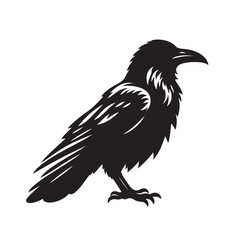 Fototapeta premium Raven or crow silhouette vector design. Raven vector illustration. Crow or raven logo, icon balck and white.