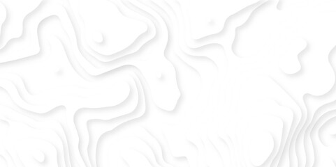 White paper cut decoration textured with wavy layers 3d topography relief background. Abstract paper carve template. abstract colorful 3d papercut topography relief vector background illustration. 