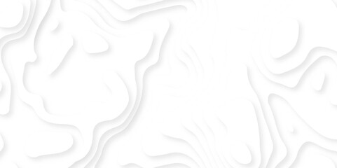 White paper cut decoration textured with wavy layers 3d topography relief background. Abstract paper carve template. abstract colorful 3d papercut topography relief vector background illustration. 