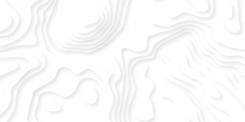 White paper cut decoration textured with wavy layers 3d topography relief background. Abstract wavy line 3d paper cut white background.