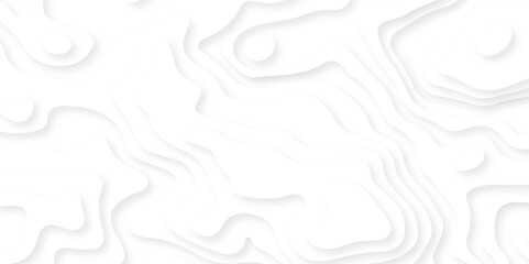 White paper cut decoration textured with wavy layers 3d topography relief background. White abstract geometric pattern background, wave and curve abstract background.