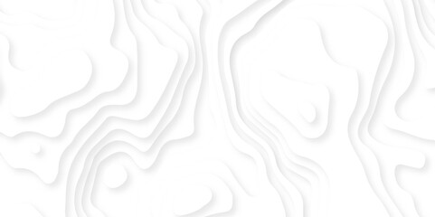 White paper cut decoration textured with wavy layers 3d topography relief background. White abstract geometric pattern background, wave and curve abstract background.
