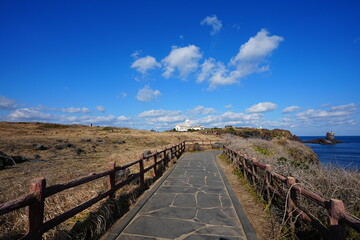 Fototapeta premium fine seaside walkway and blue sea