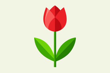 Red tulip flower vector illustration, tulip floral with white background