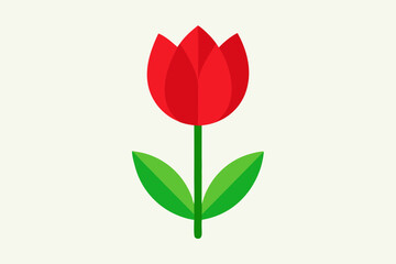 Red tulip flower vector illustration, tulip floral with white background