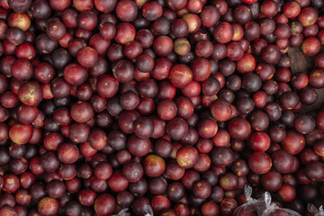 CAMU CAMU, AMAZONIAN FRUIT THAT GROWS ON THE BANKS OF RIVERS, DELICIOUS RED FRUIT KNOWN AS CAMU CAMU, DELICIOUS IN ICE CREAMS AND DESSERTS